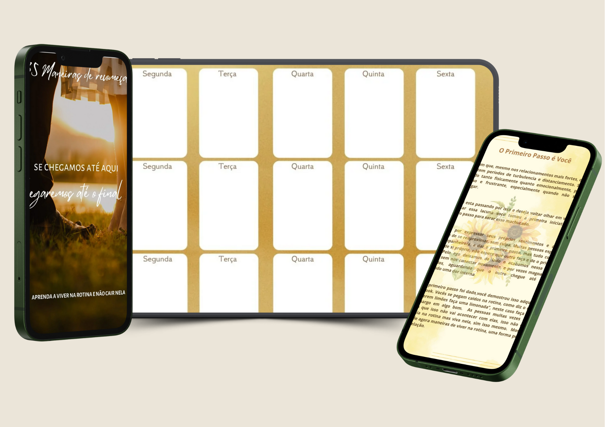 Descrição da imagem
